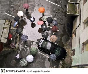 creative-umbrellas-4-2